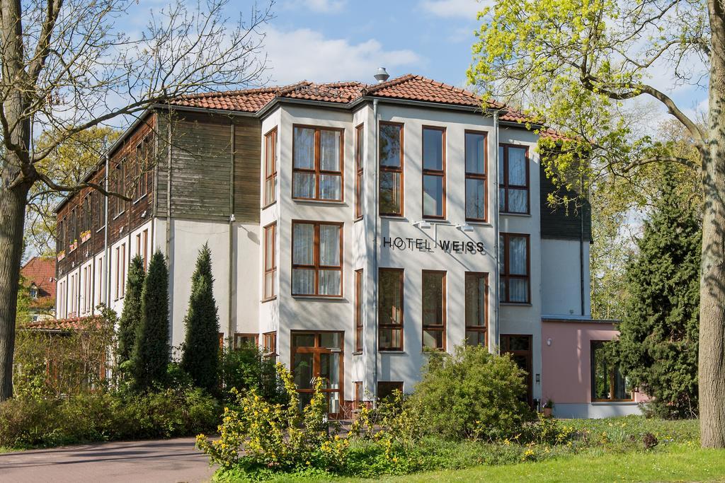 Hotel Weiss Ангермюнде Экстерьер фото